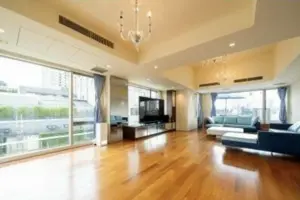 Roppongi 6 min Pent House 3 Roof Balcony 2 bedroom Apartment — 4