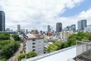 Roppongi 6 min Pent House 3 Roof Balcony 2 bedroom Apartment — 5