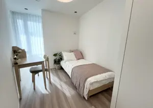 Park Court Jingukitasando The Tower 2 Bedroom Apartment — 4