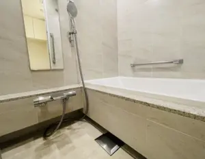 Hamamatsucho 5 min 1 Room Apartment — 5