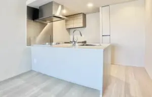 Hamamatsucho 5 min Brand New 2 Bedroom Apartment — 3