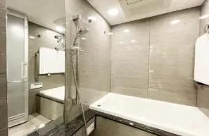 Hamamatsucho 5 min Brand New 2 Bedroom Apartment — 4