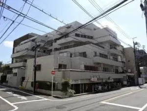 Toritsudaigaku 6 min Renovated 4 Bedroom Apartment — 3