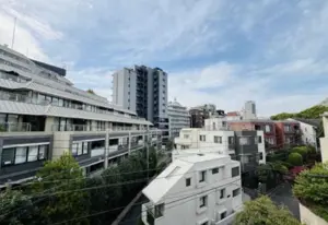 Hiroo 3 min Renovated 2 Bedroom Apartment — 5