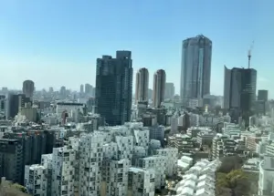 Akasaka Tower Residence Corner Unit Renovated 2 Bedroom Apartment — 2