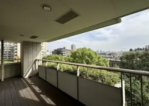 Roppongi Hills Residence A Pent House 2 Bedroom Apartment — 5