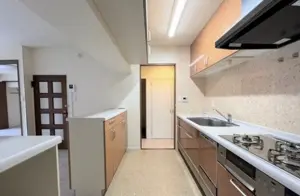 Ebisu 8 min 4 Bedroom Apartment — 2