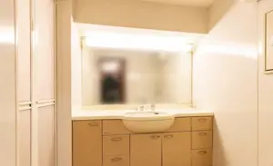 Ebisu 8 min 4 Bedroom Apartment — 4