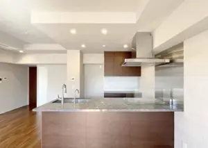 Omotesando 5 min Renovated 3 Bedroom Apartment — 3