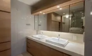 Ebisu 9 min Renovated 2 Bedroom Apartment — 4