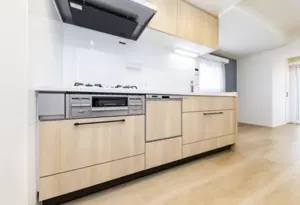 Ikebukuro 9 min Pent House Renovated 3 Bedroom Apartment — 5