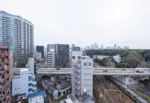 Yoyogi 3 min Renovated 1 Bedroom Apartment — 5