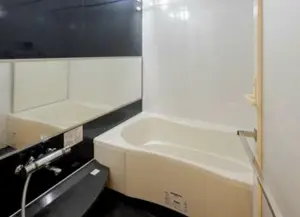 Seibushinjuku 5 min 1 Bderoom Apartment — 3