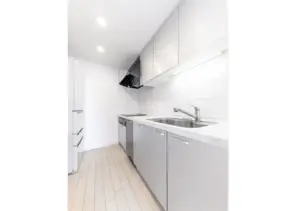 Higashishinjuku 1 min Renovated 2 Bedroom Apartment — 3