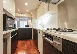 Ushigomekagurazaka 4 min 2 Bedroom Apartment — 3