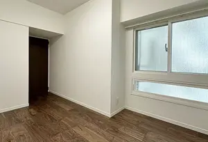 Shiodome 5 min Renovated 2 Bedroom Apartment — 3