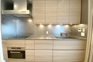 Hiroo 8 min Renovated 1 Bedroom Apartment — 3
