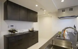 Azabujuban 9 min Renovated 2 Bedroom Apartment — 4