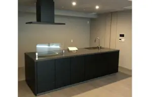 Daikanyama 11 min Brand New 3 Bedroom Apartment — 5