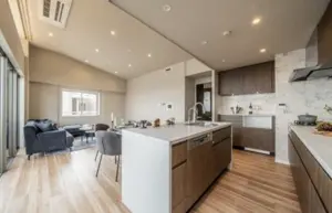 Toritsudaigaku 17 min Pent House Renovated 3 Bedroom Apartment — 4