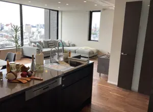 Sangenjaya 12 min Renovated 3 Bedroom Apartment — 3