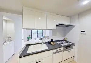 Nakameguro 13 min Renovated Pent House 3 Bedroom Apartment — 4