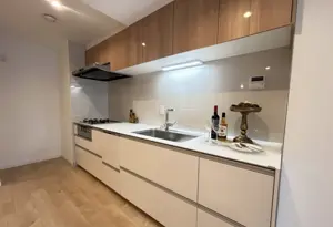 Fudomae 15 min Renovated 3 Bedroom Apartment — 2