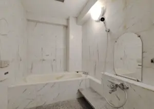 Hiroo 6 min 4 Bedroom Apartment — 4