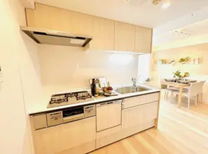 Gaienmae 9 min Renovated 2 Bedroom Apartment — 3