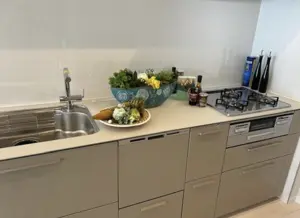 Takanawadai 6 min Renovated 3 Bedroom Apartment — 2