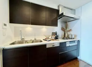 Akasaka 5 min Renovated 2 Bedroom Apartment — 5