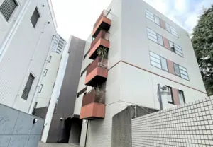 Shirokanetakanawa 10 min Renovated 3 Bedroom Apartment — 5
