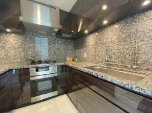 City Tower AZABUJUBAN Renovated 2 Bedroom Apartment — 4