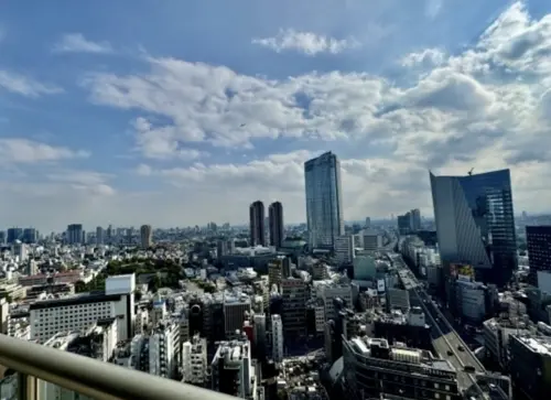 Roppongi 3 min Renovated 3 Bedroom Apartment