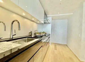 Roppongi 3 min Renovated 3 Bedroom Apartment — 4