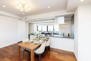Brillia Takanawa The Court Pent House 3 Bedroom Apartment — 5