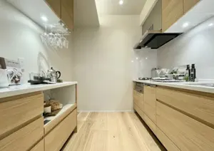 Nogizaka 3 min Renovated 2 Bedroom Apartment — 4