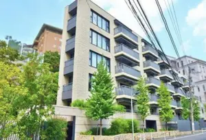 Hiroo 2 min Renovated 1 Bedroom Apartment — 5