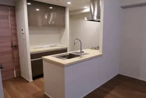 Hiroo 2 min Renovated 1 Bedroom Apartment — 2