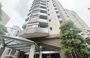 Ebisu 7 min Renovated 2 Bedroom Apartment — 4
