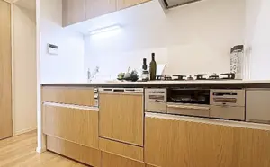 Ebisu 7 min Renovated 2 Bedroom Apartment — 5