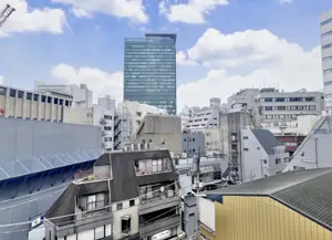 Omotesando 8 min Renovated 2 Bedroom Apartment — 3
