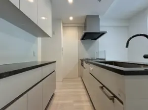 Yoyogikoen 4 min 2 Bedroom Apartment — 4
