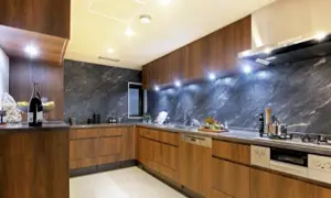Yoyogikoen 9 min Renovated 3 Bedroom Apartment — 5