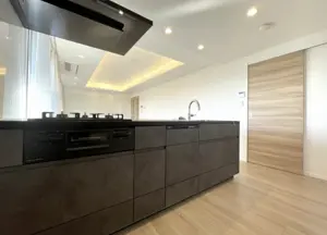 Yoga 19 min Pent House Roof Balcony Renovated 3 Bedroom Apartment — 3