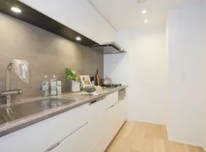 Sakurashinmachi 12 min Renovated Pent House 3 Bedroom Apartment — 3