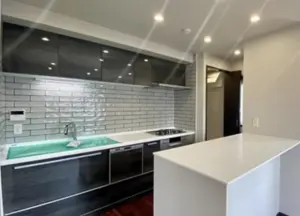 Gakugeidaigaku 5 min Pent House Renovated 3 Bedroom Apartment — 4
