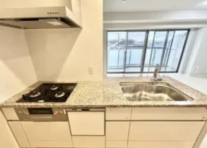Toritsudaigaku 9 min Renovated 3 Bedroom Apartment — 2