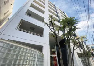 Hiroo 9 min Renovated 1 Bedroom Apartment — 5