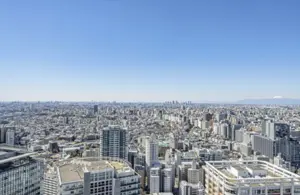 Park Tower Grand Sky High Floor City View — 3